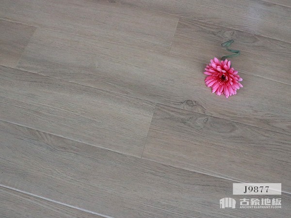 古象強化地板·海森灰橡-J9877 強化地板