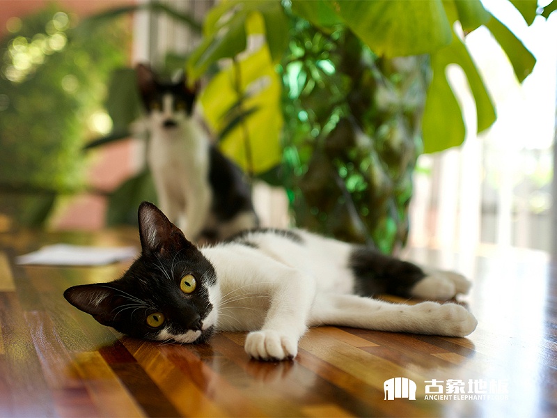 實木地板的好處