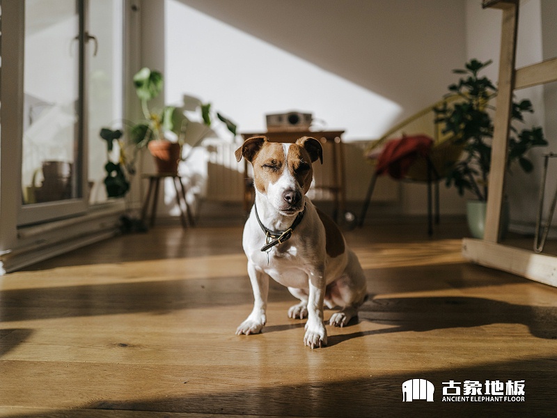 瓷磚與多層實(shí)木地板的比較