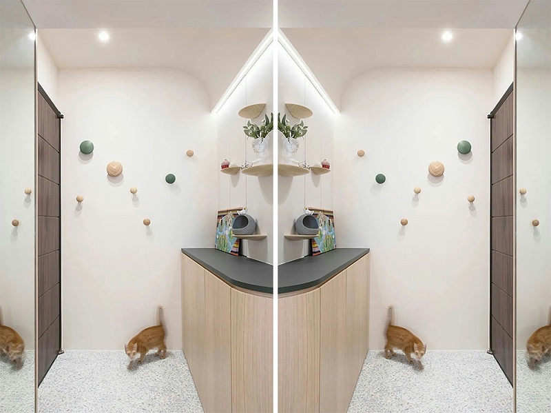 玄關(guān)區(qū)