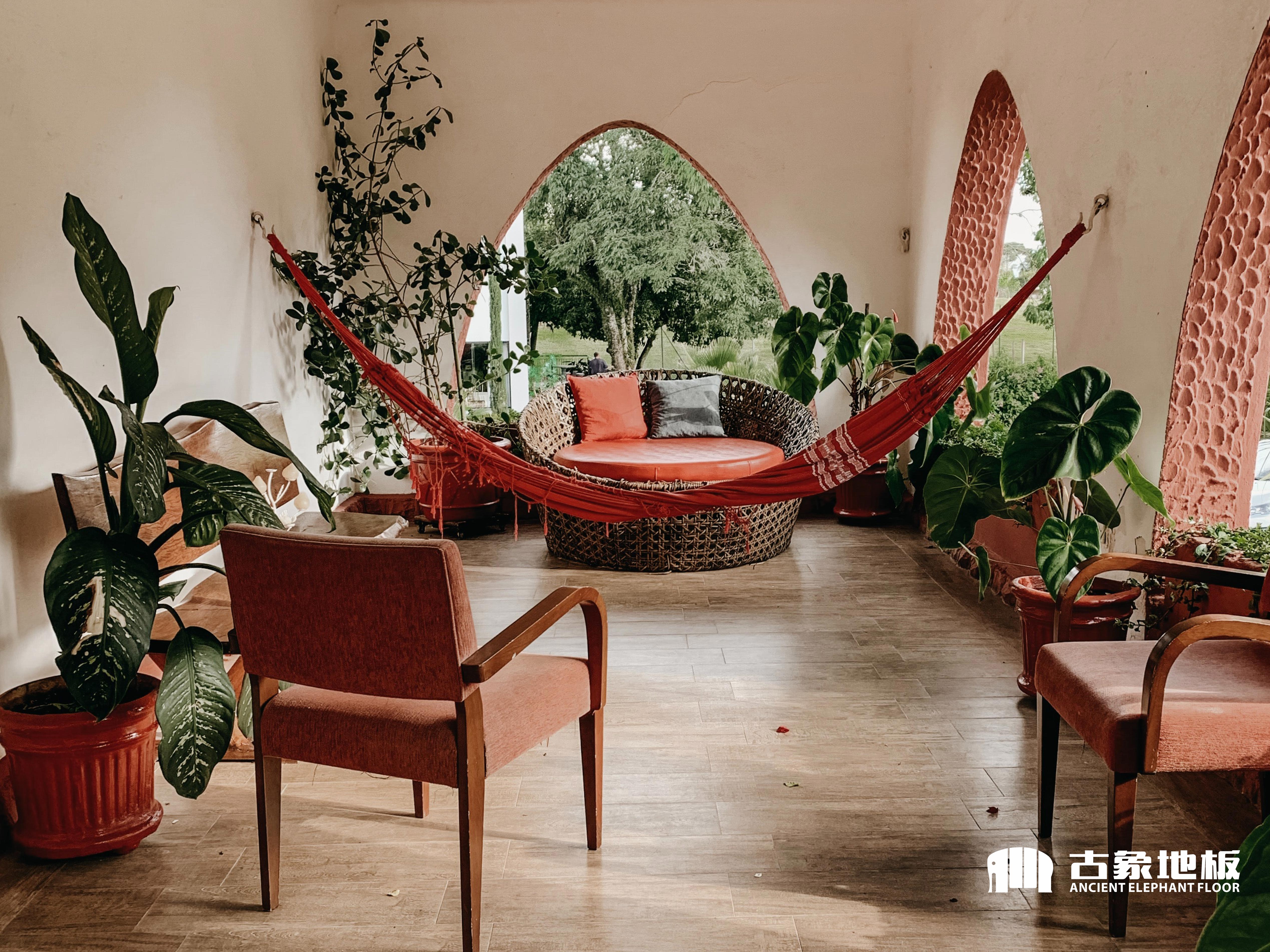 綠植選用有技巧