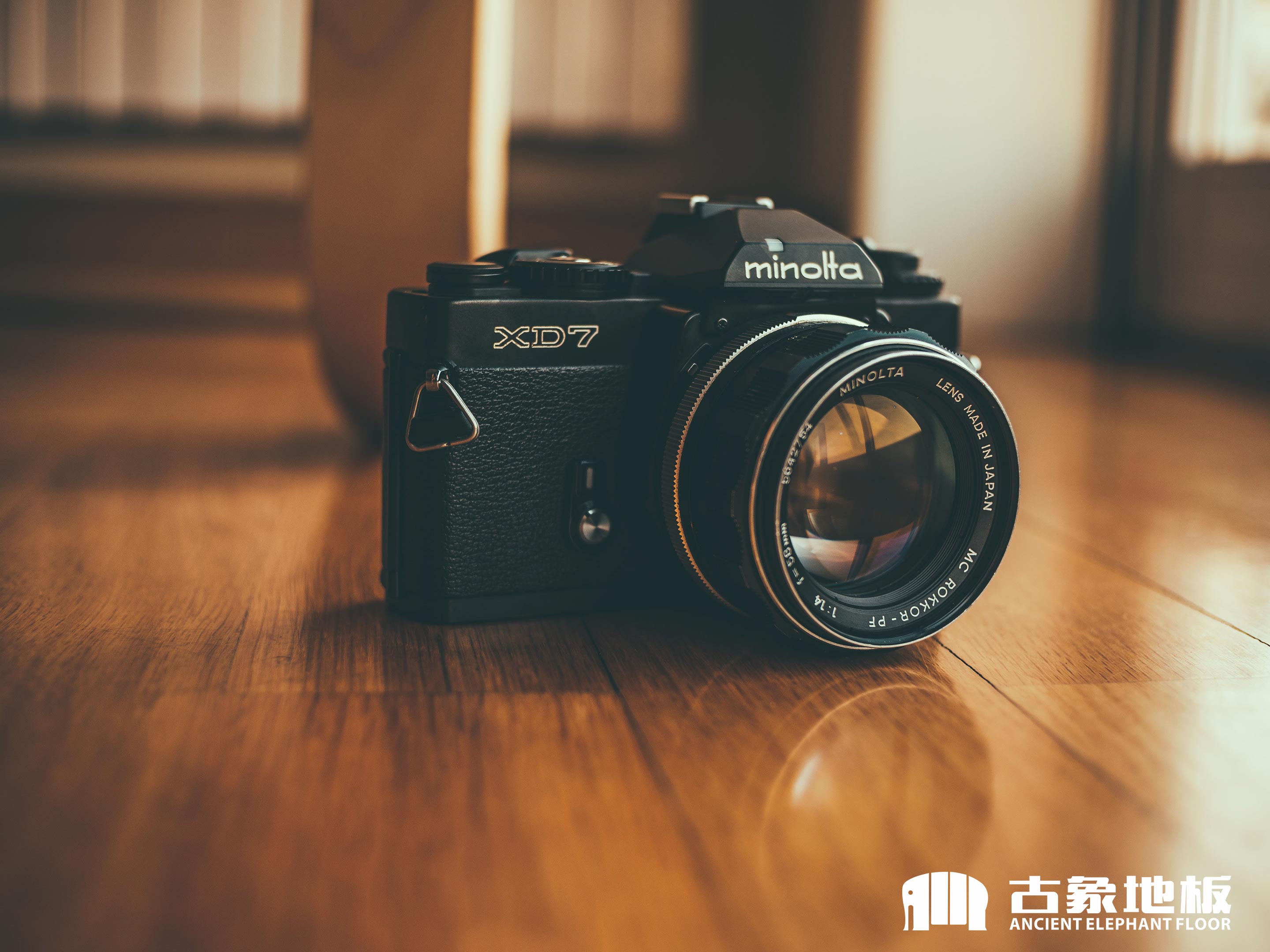 實木地板珍貴木種有哪些