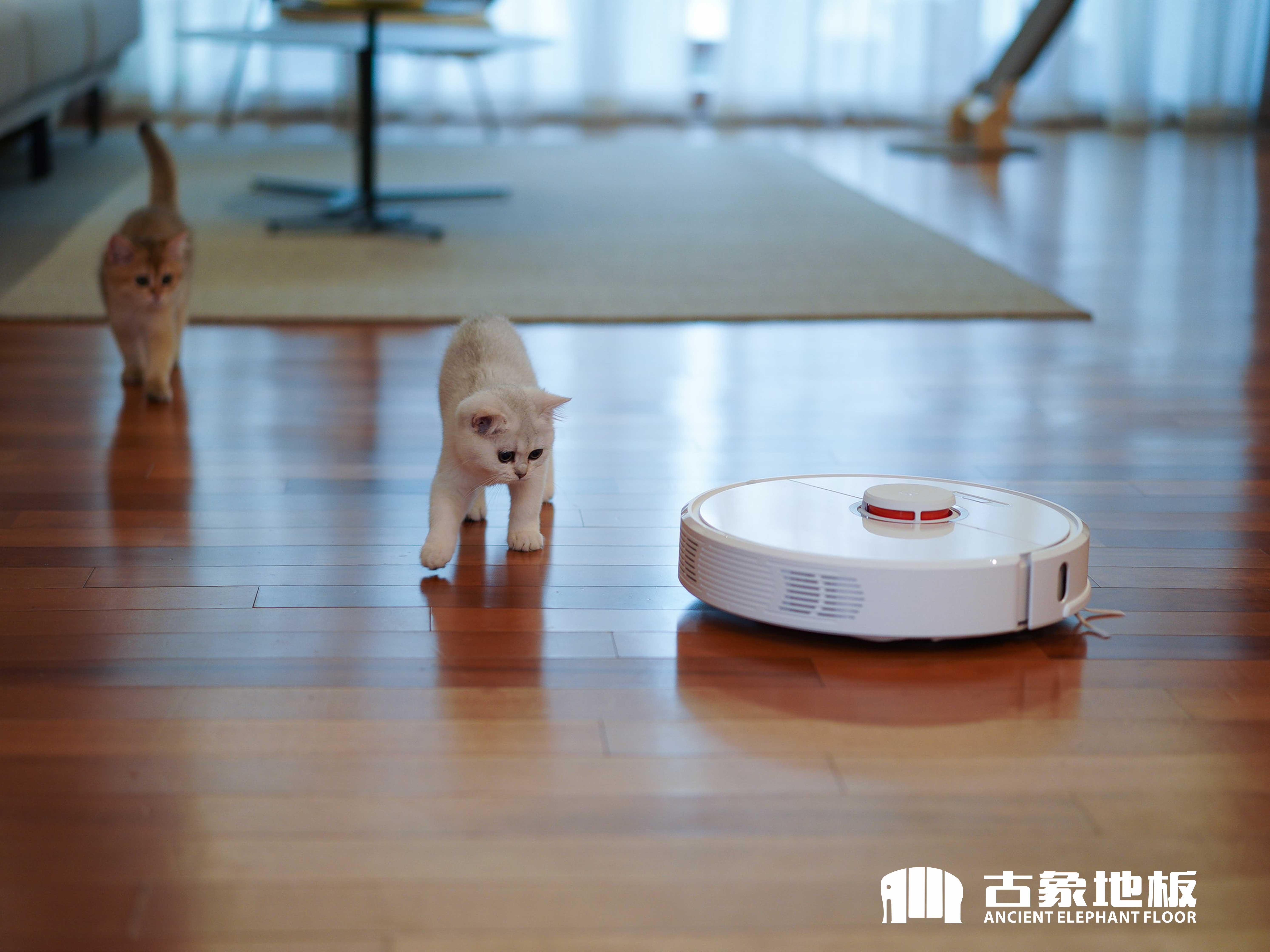 適合老人居住的裝修秘訣