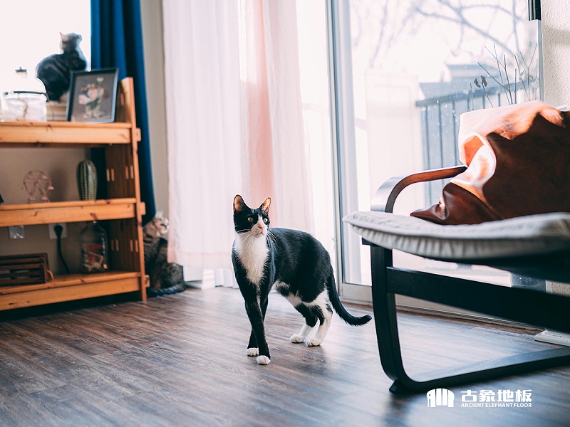 灰色強(qiáng)化地板