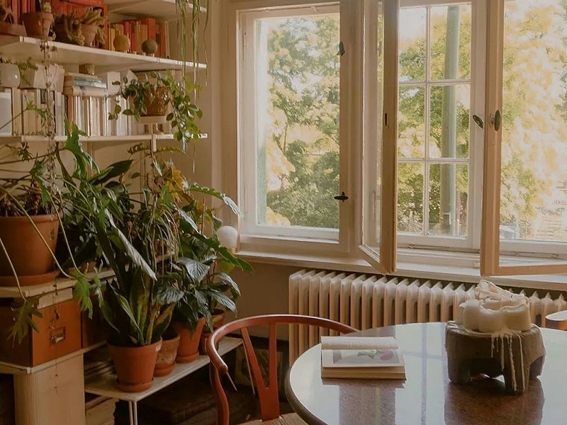 有著老式窗戶的餐廳