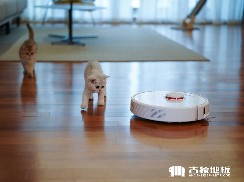 木地板打蠟前徹底清掃地面