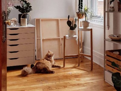 木地板為什么會發(fā)霉變黑