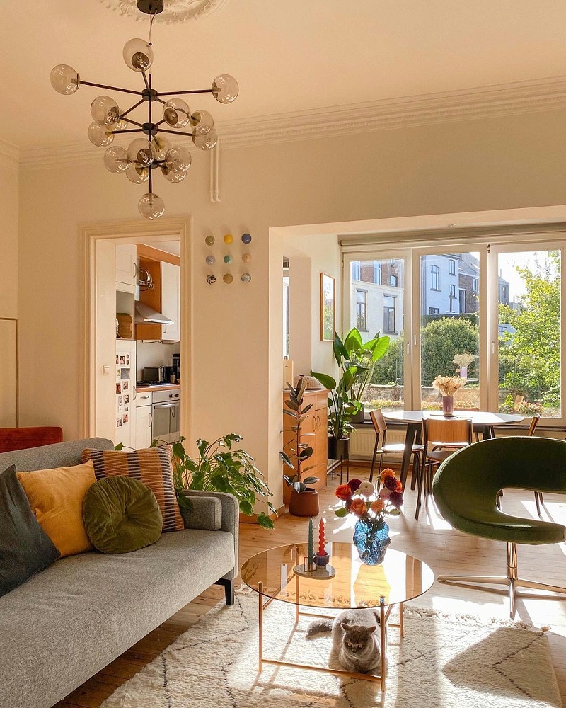 明媚的陽光透過窗戶照射進(jìn)來