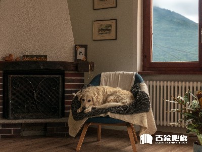 養(yǎng)寵物適合鋪裝強(qiáng)化地板嗎