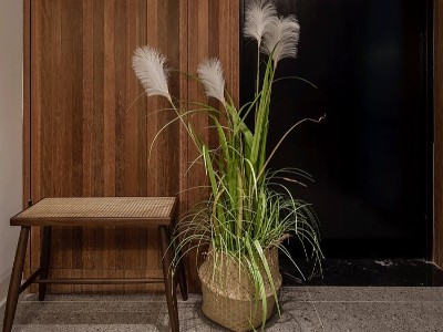 古象地板打造的簡(jiǎn)約之家